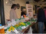 Star Loc Adhesives have a huge range of products.